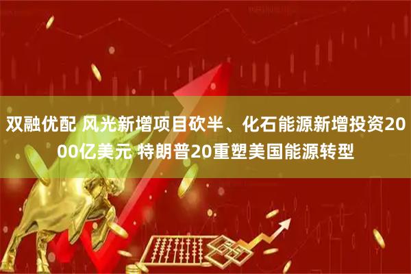 双融优配 风光新增项目砍半、化石能源新增投资2000亿美元 特朗普20重塑美国能源转型