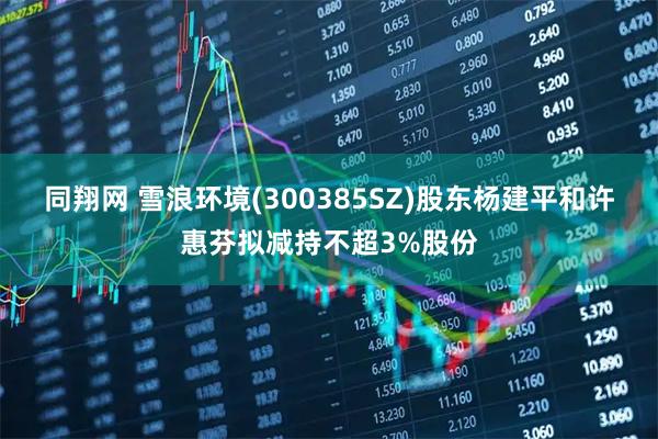 同翔网 雪浪环境(300385SZ)股东杨建平和许惠芬拟减持不超3%股份