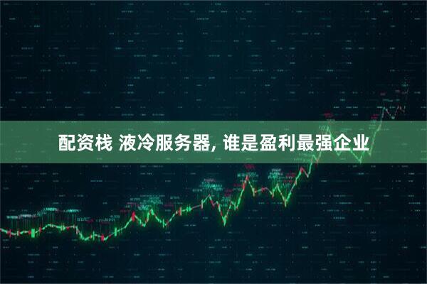 配资栈 液冷服务器, 谁是盈利最强企业