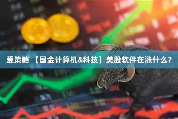 爱策略 【国金计算机&科技】美股软件在涨什么？