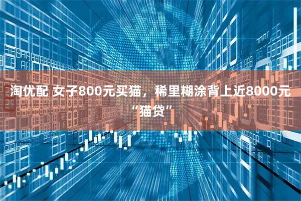淘优配 女子800元买猫，稀里糊涂背上近8000元“猫贷”